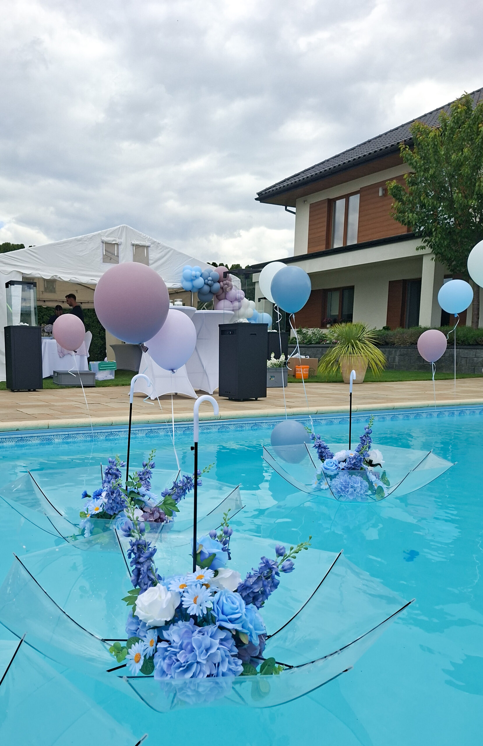 gallery_6_image